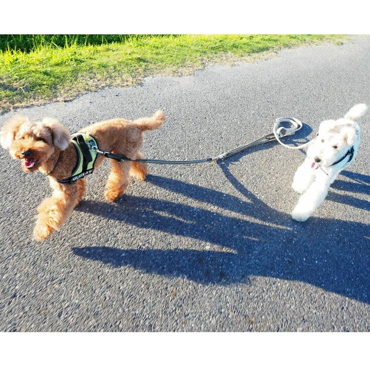 D6569deb 999a 4e6a 94e9 79272eb3c7bf