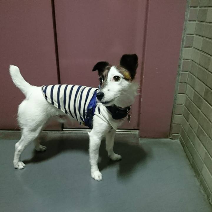 D656ec60 f391 4407 9d55 628ab979f1b3