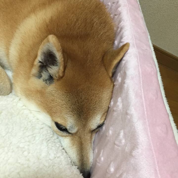 D65721fc 93b0 48e4 bc97 e2f45ab0dcd6