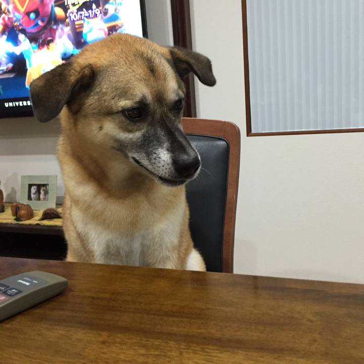 D6575f13 8343 49e9 aa4f a3557b626dc6