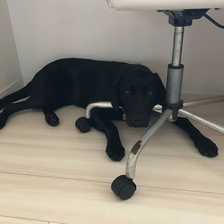 D657d1e0 dd29 475d a2b5 aeda30603d51