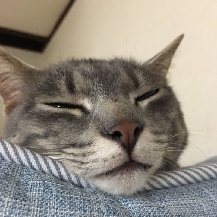 D658e500 5cf0 44c6 9bdd 9e2ec3277170