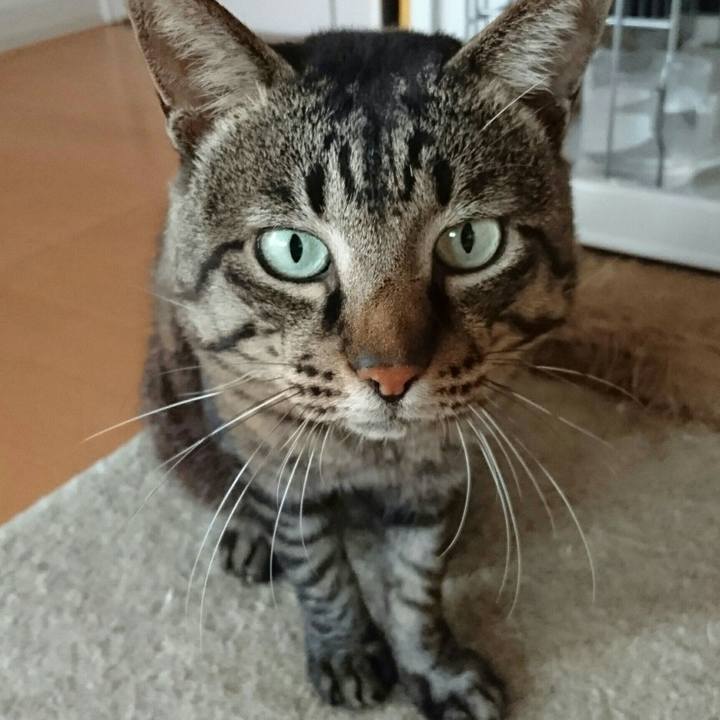 D658e515 4969 44c7 a717 a4c090259f3c