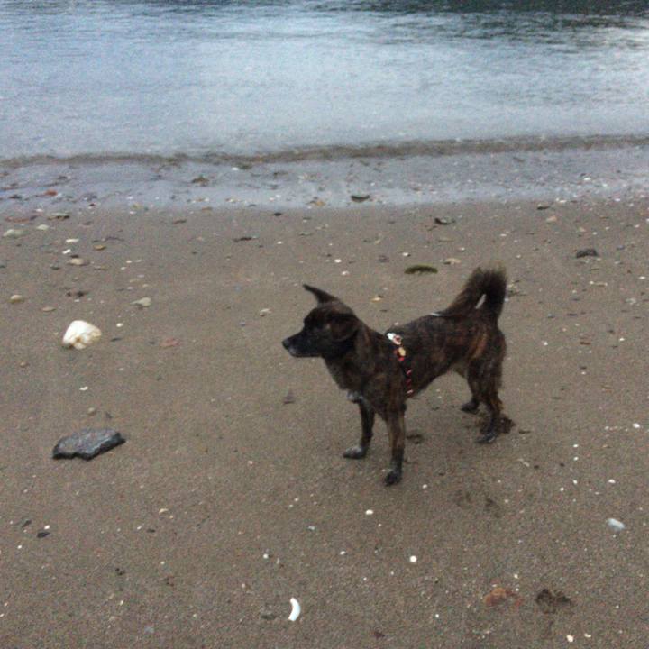 D6595647 9750 4a0a 8bdf 2305a331d742