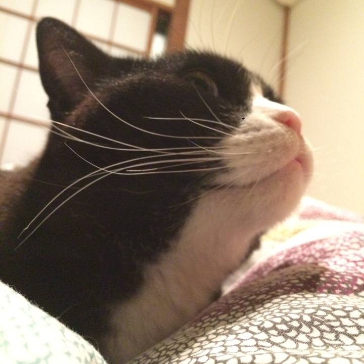 D659b121 78db 43fc 989a 63837ae842d7