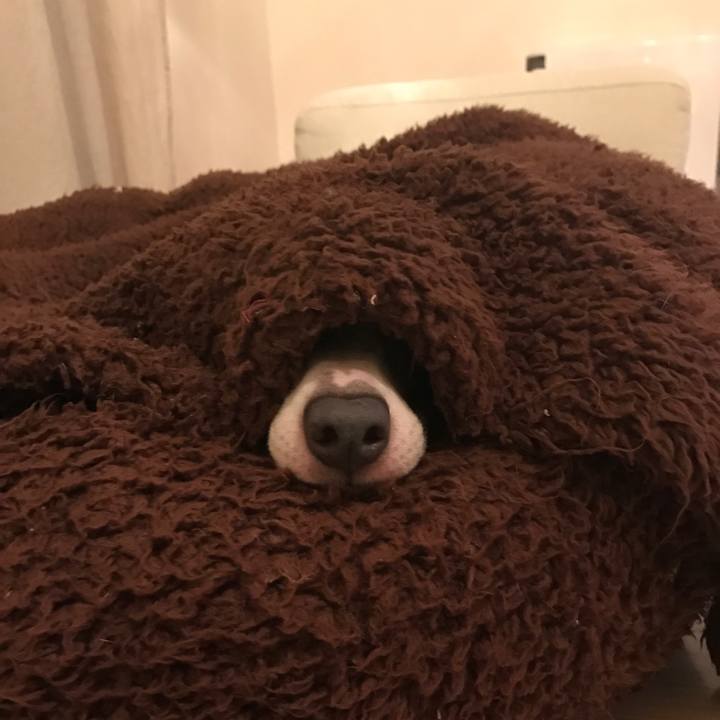 D659f315 1591 4bfb aed2 8b3623462dfa