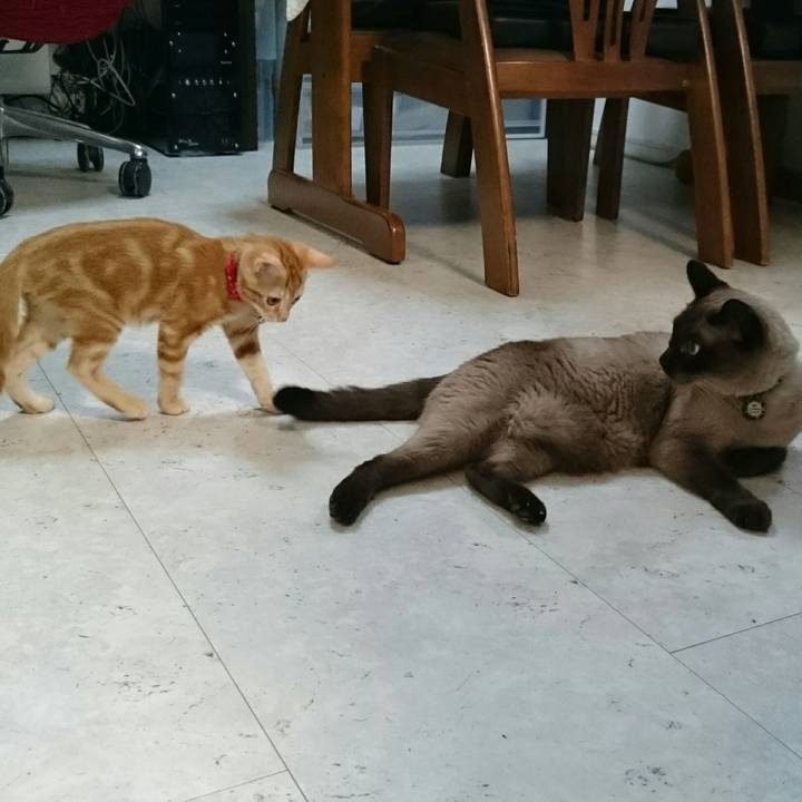 D65a2168 8a35 4120 84a2 d0333c39f804