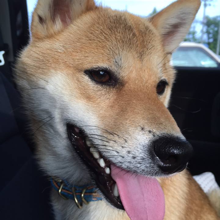 D65a6912 2332 422b 8e35 b8fa9a5259a6