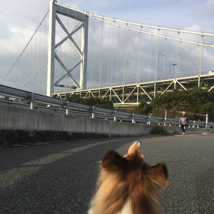 D65b74b6 8050 4939 be64 57f5e3a12d15