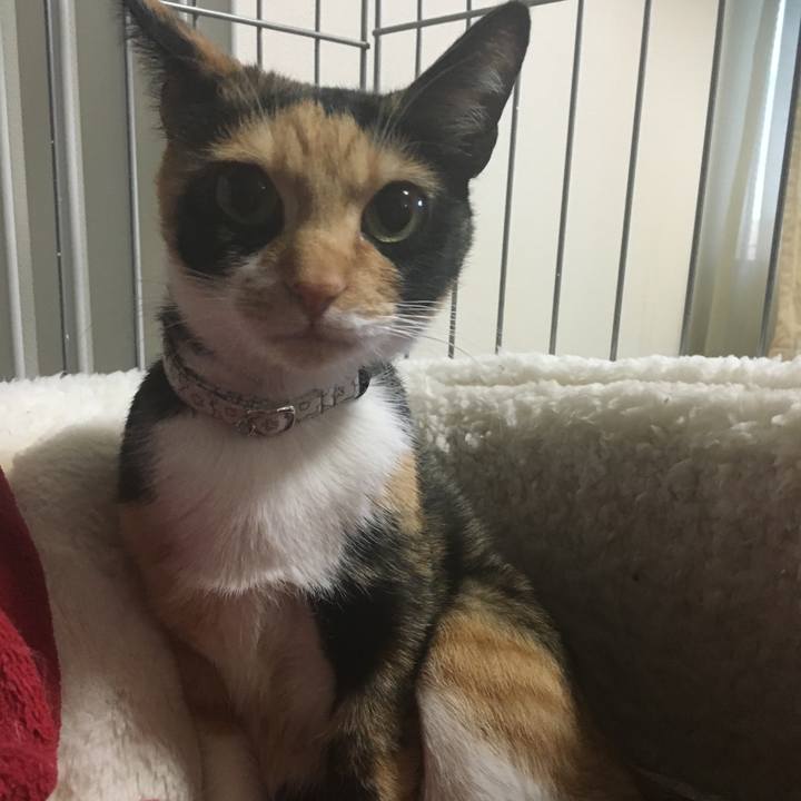 D65b9019 9c0f 4a6b 9b3e 943e162af38c