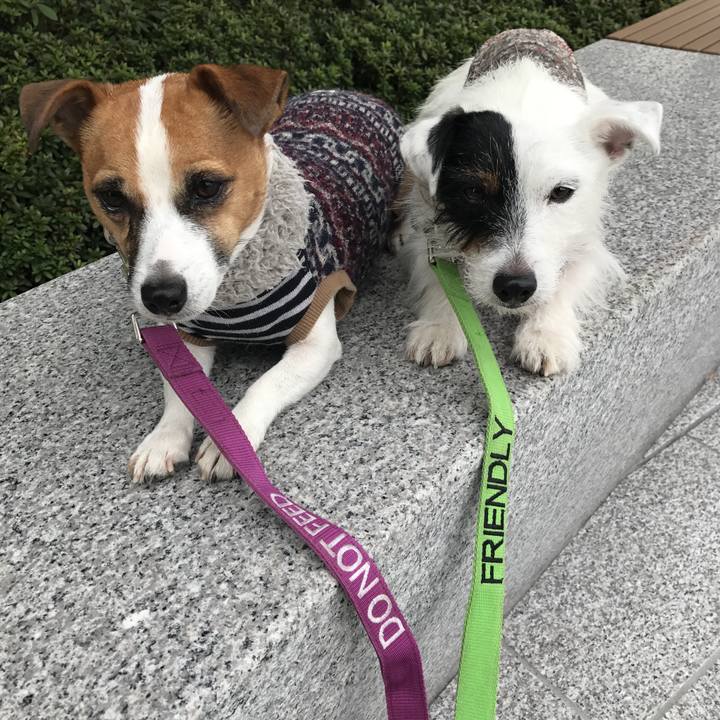 D65c1b21 65e5 40b1 9e53 0afc162bdad2