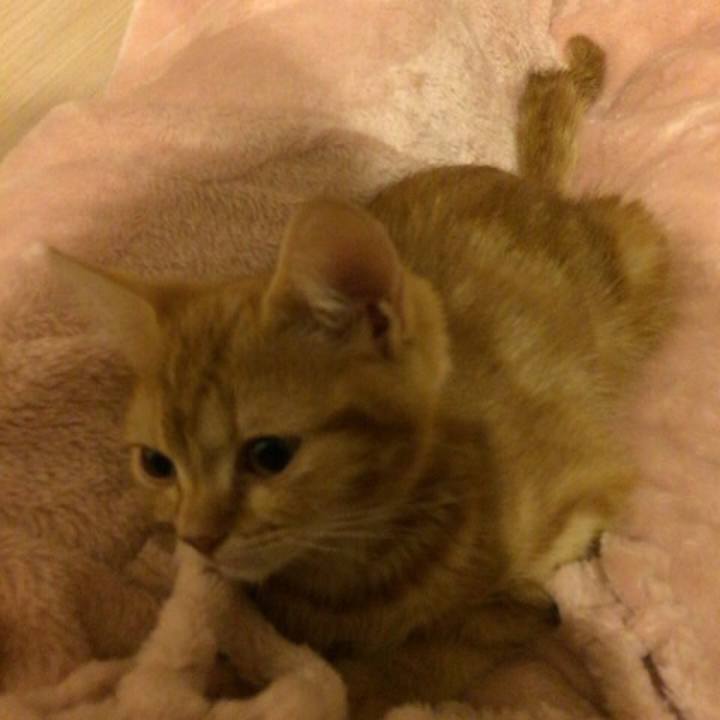 D65c5a8c 592d 4e3c a66e 738cccedd032