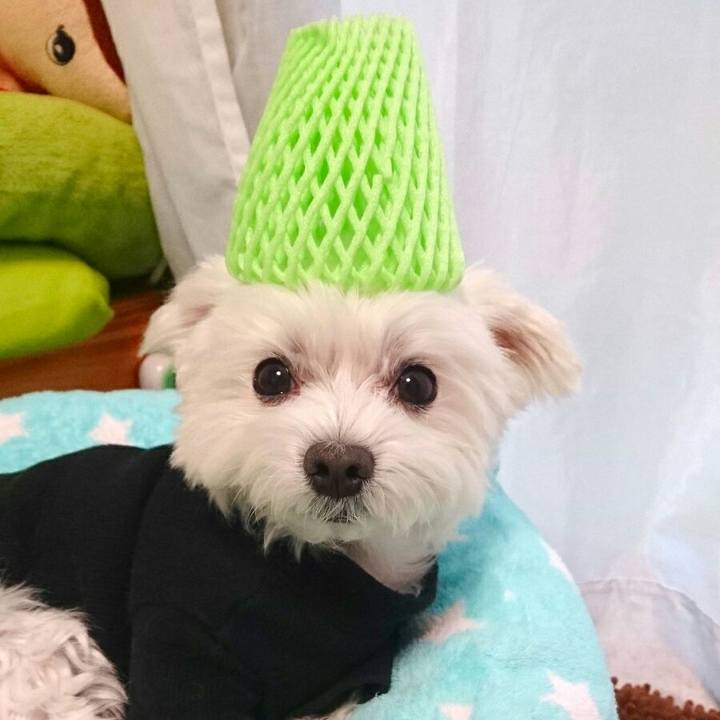 D65cba43 2210 4d86 96b3 f1a4b8bdcb96