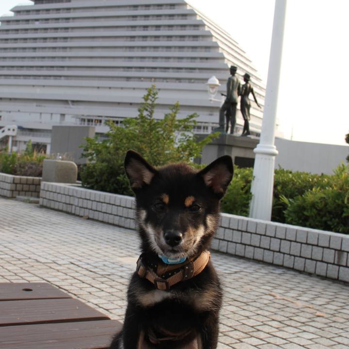 D65d5c49 0233 48bd a693 81bb48f5ef2c