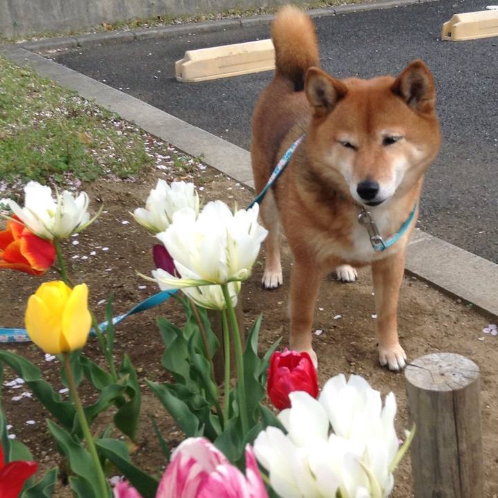 D65d7492 8b51 4a30 a760 c31819088121