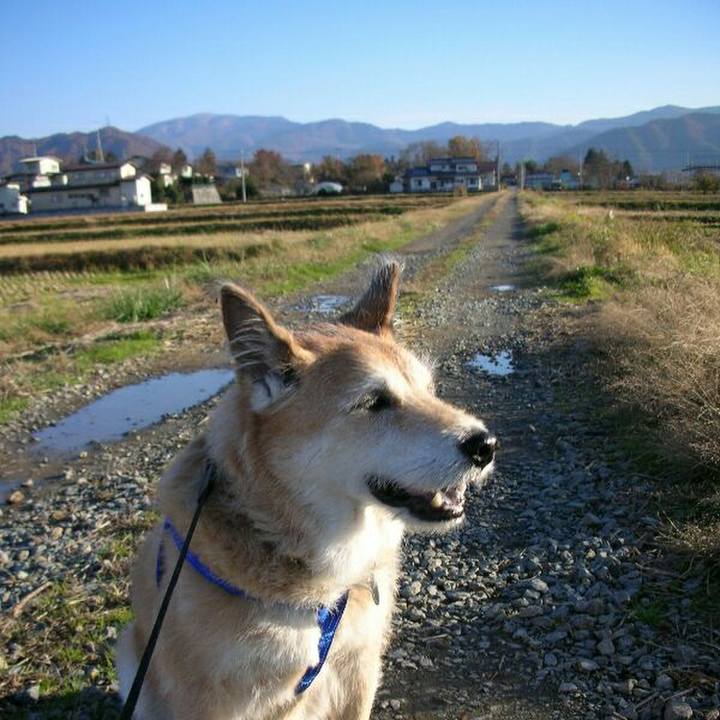 D65e79a8 5fff 4047 9437 6eb45123a2b8