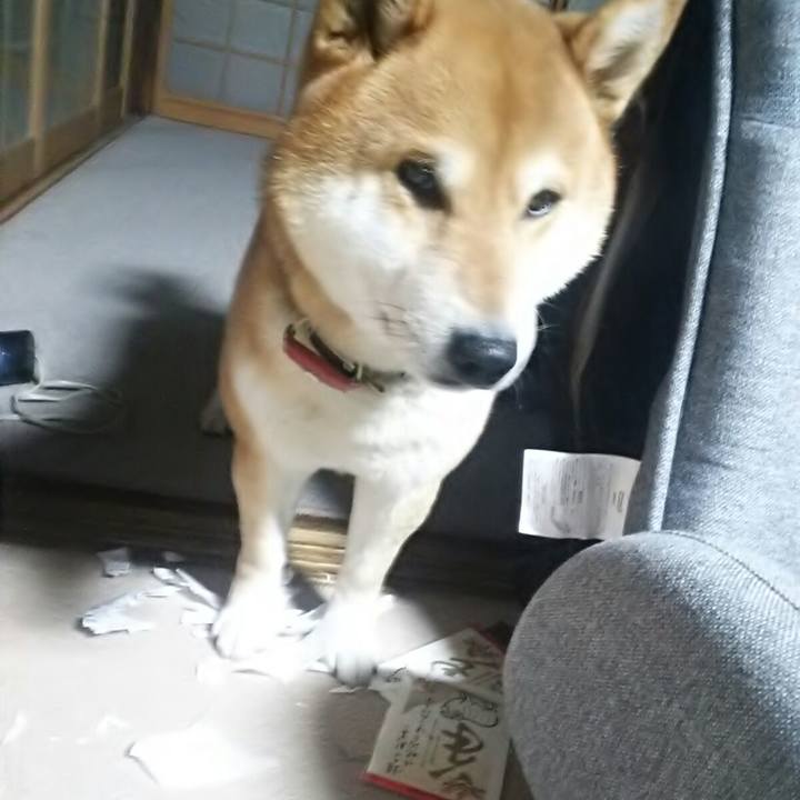 D65e8b8e a68c 4c01 b183 281891a79259