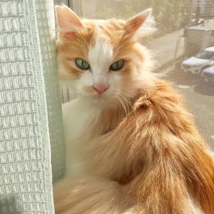 D65ea5cd 13b6 4aa3 979d 6288d65c0f22