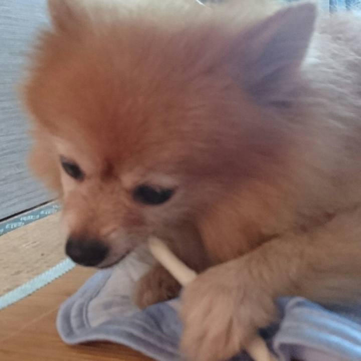 D65eb28b ffc7 4589 b4b1 18fc9dd48ab6