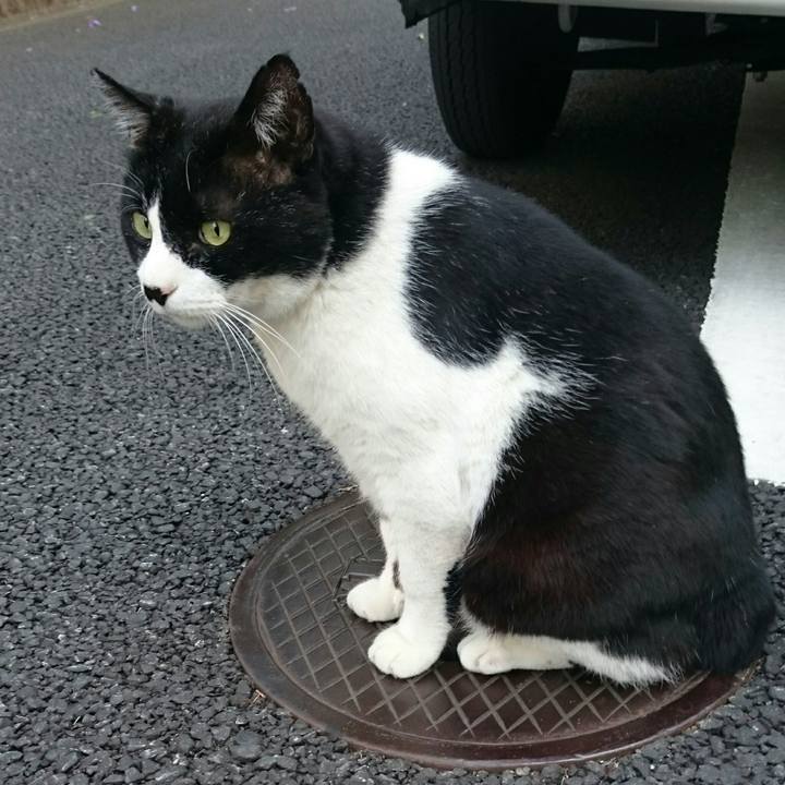 D65eddbb dff6 42a9 8a71 02d9afa854d5