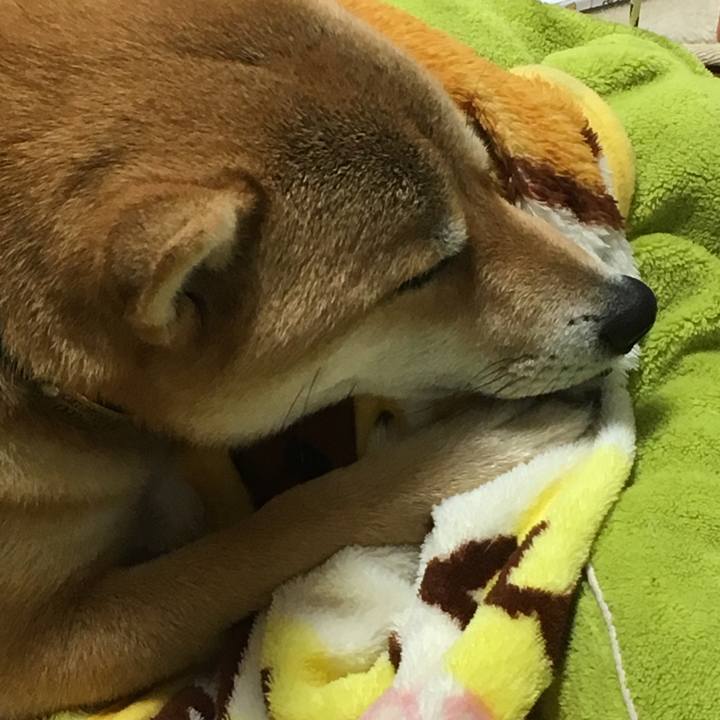 D65f1240 6792 45bb bd85 283fc1517f84