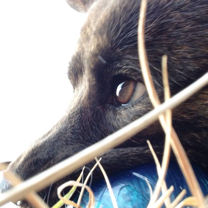 D65f3664 3f1f 4e59 828b cfd0840bdfcd