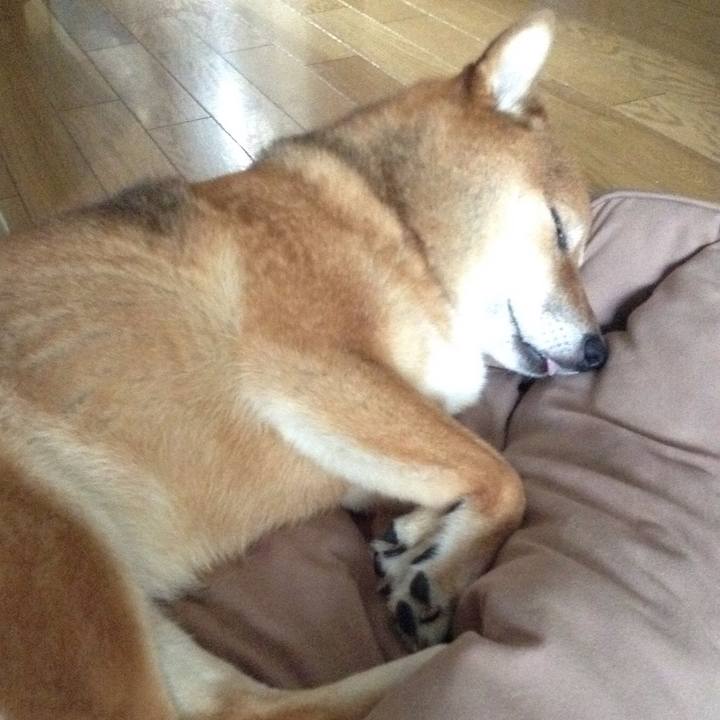 D65f4bfd 23b7 429e 9dd3 d117b96ff811