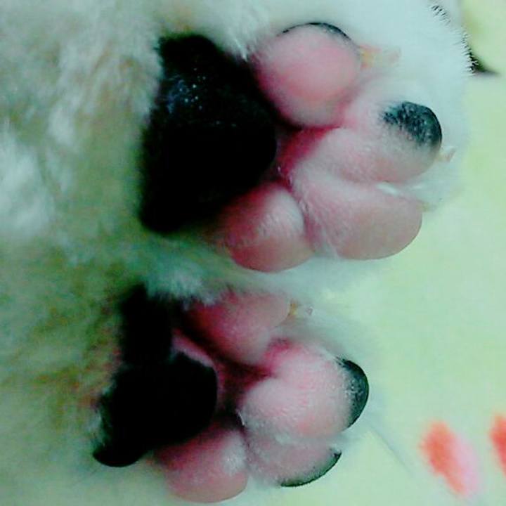 D65f7b6c 40ce 4fe6 a5a2 a35471a86fbf