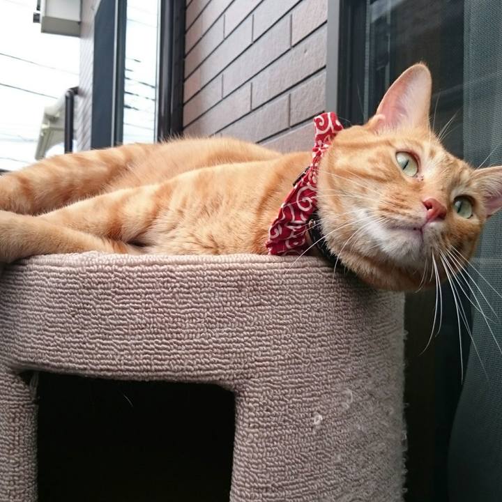 D65feee6 9257 4492 a8dc c861e6127f05