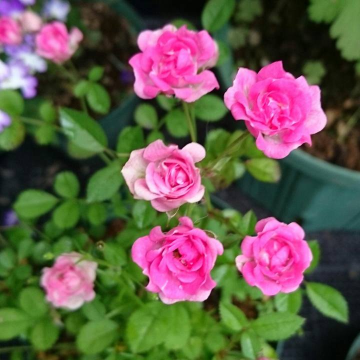 D660c806 0492 4e0c 9044 c1e6b1cbc693