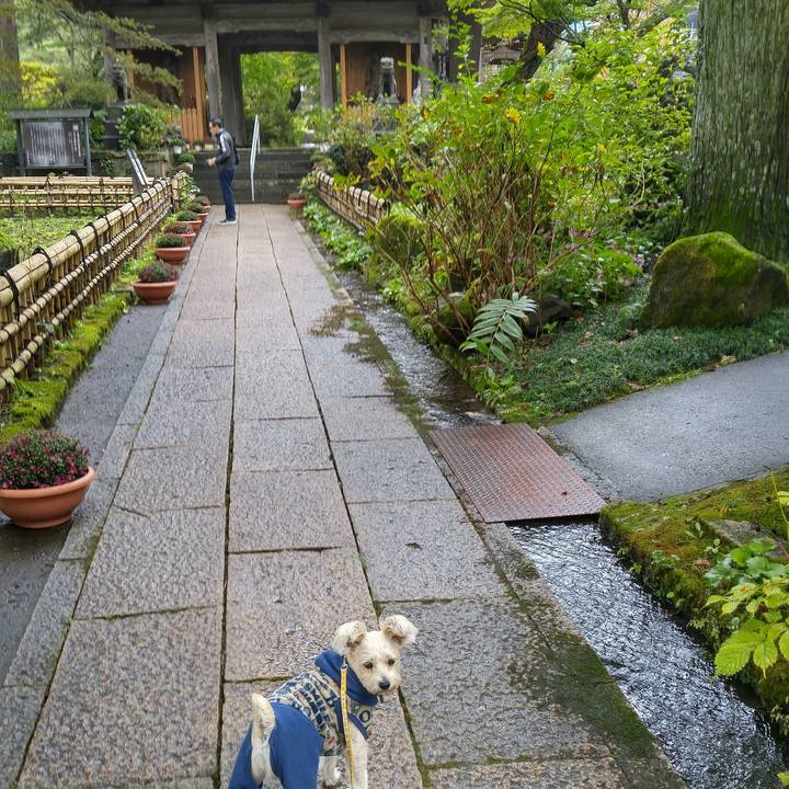 D6611b41 7f4c 4a30 850e 778b3cd94c4e