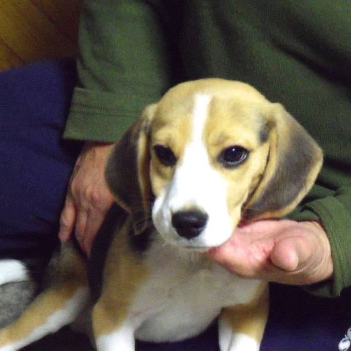 D6612e15 a91d 4e21 8860 f8e1583dc039