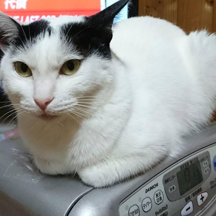 D661959a 84fa 486f a664 dd8aa102a3e2