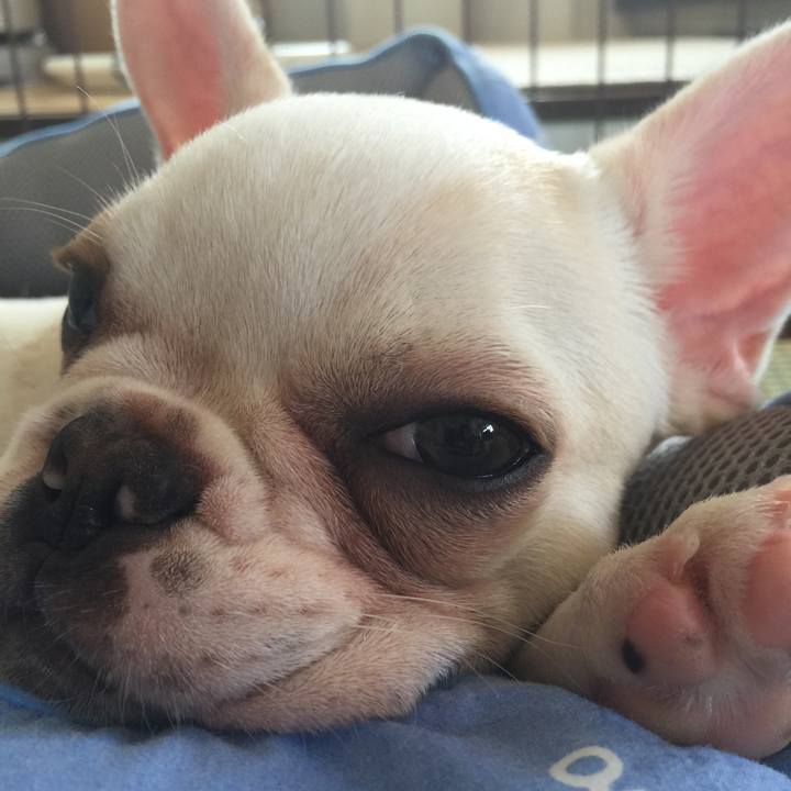 D661b1cf ece1 4d95 a652 6340db6369f9