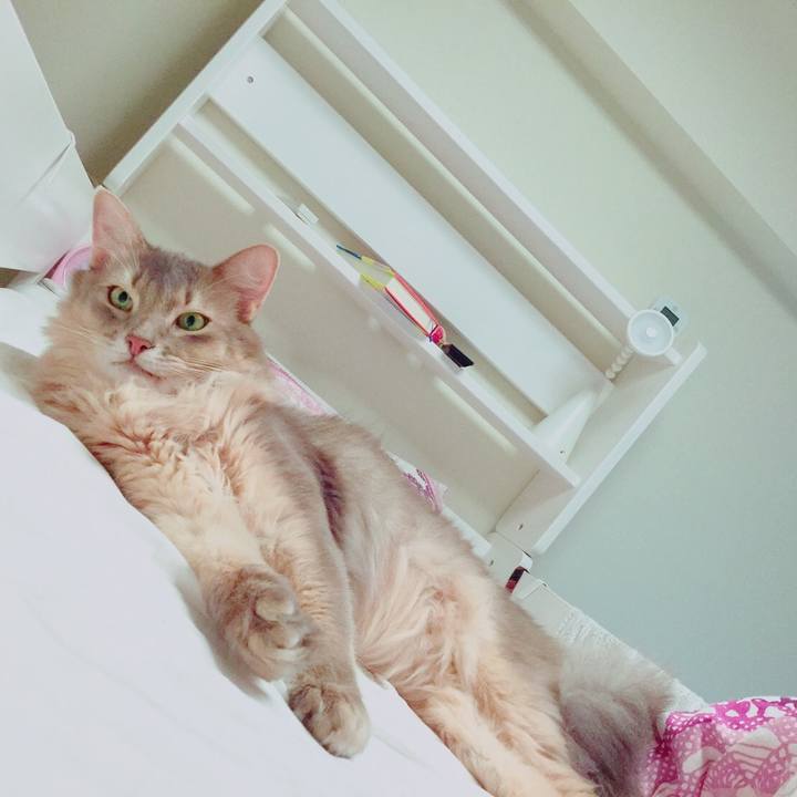 D6627bdc b575 405e a1ec 8513cac19bf5