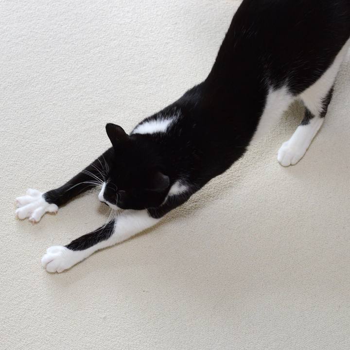 D662ae38 3a11 49ce 9bbd 88ff299f0492