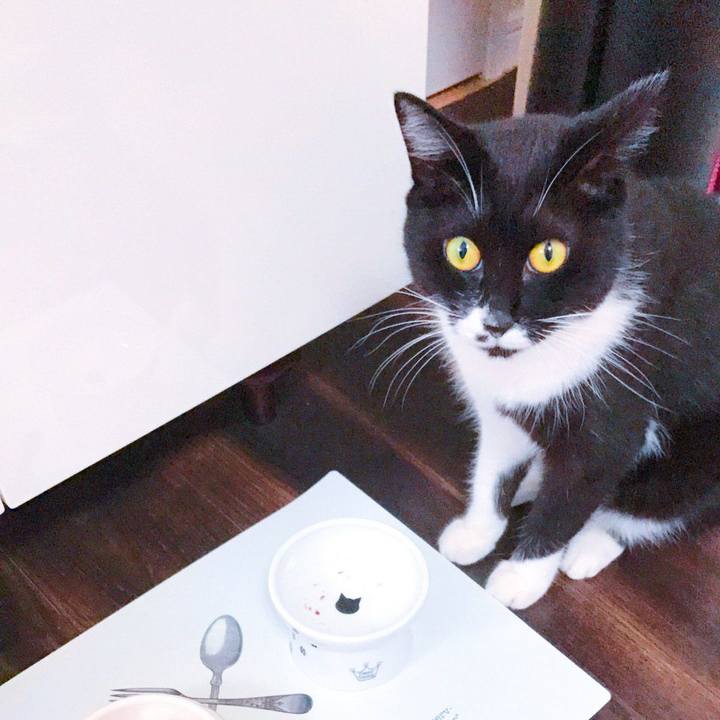 D662fe67 ded8 4874 9028 b2056a426185