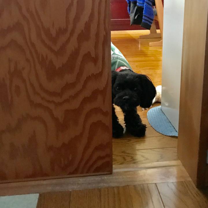 D6637ae8 4583 4d1a a8c5 95c10105263a