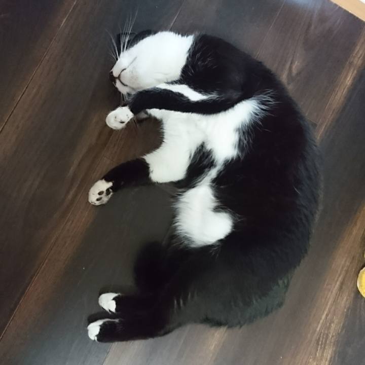 D6638135 dd88 4625 87eb 1ba5b1267843