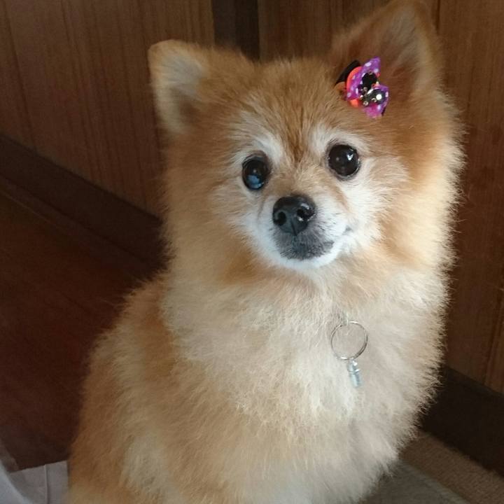 D66382b4 c5bf 49d7 a810 03d6f490e0f0