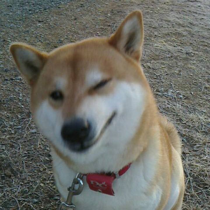 D663cd19 6c58 4b73 8ed2 b3700388fdaa