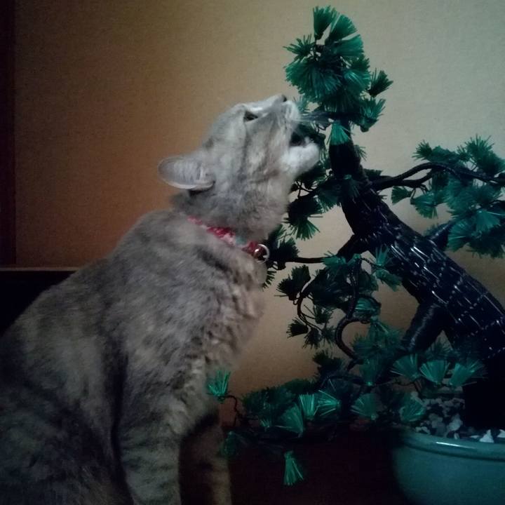 D6648f52 9197 41b8 a61b 08ce0942d71e