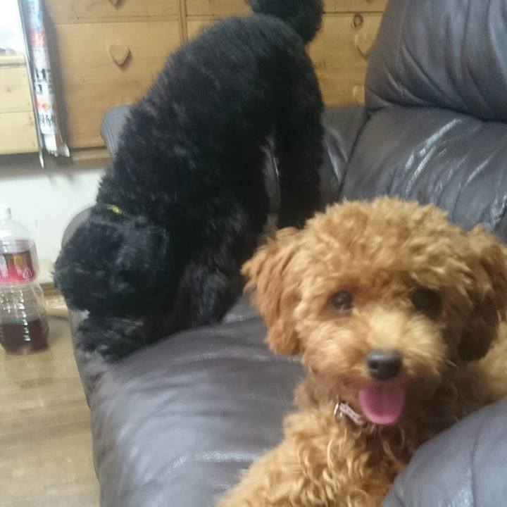 D664a74b 38ac 4904 9661 b6e23ca3442b