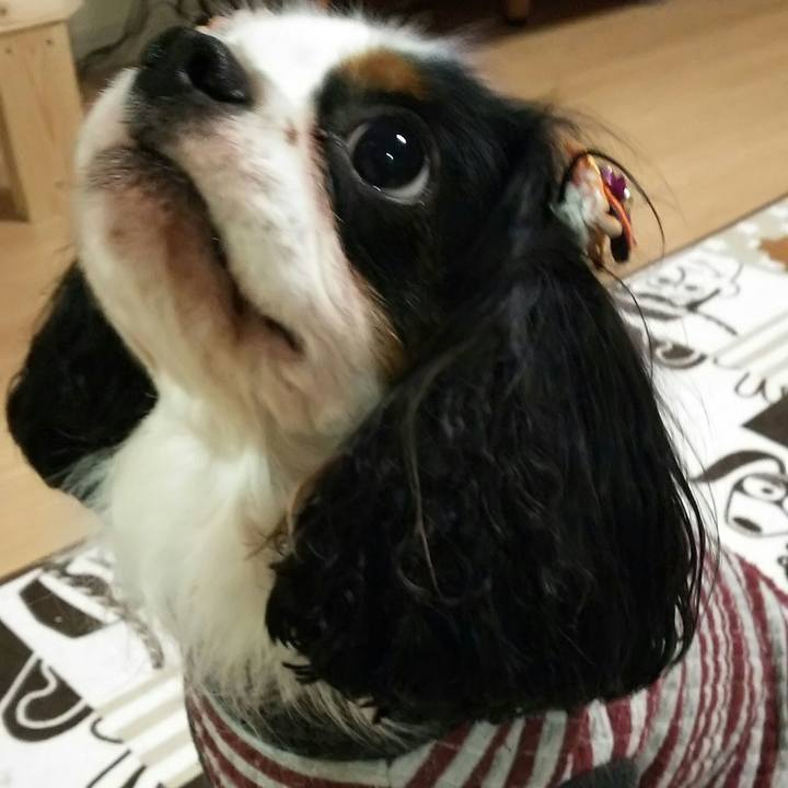 D664c014 320d 4bc6 88da 10368fbbb800