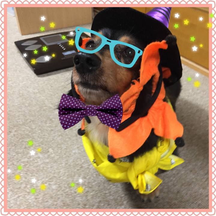 D665786e 9183 4eb1 97b0 39ac73d04212