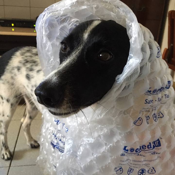 D665ab72 0557 4304 b664 f0bcb2edb446