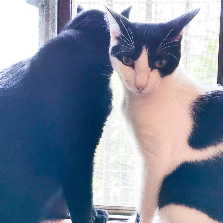 D665dabc a4b3 4e2c a861 67858b56335e