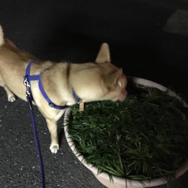 D6672a9a 8708 4582 8080 c64ef05e349f