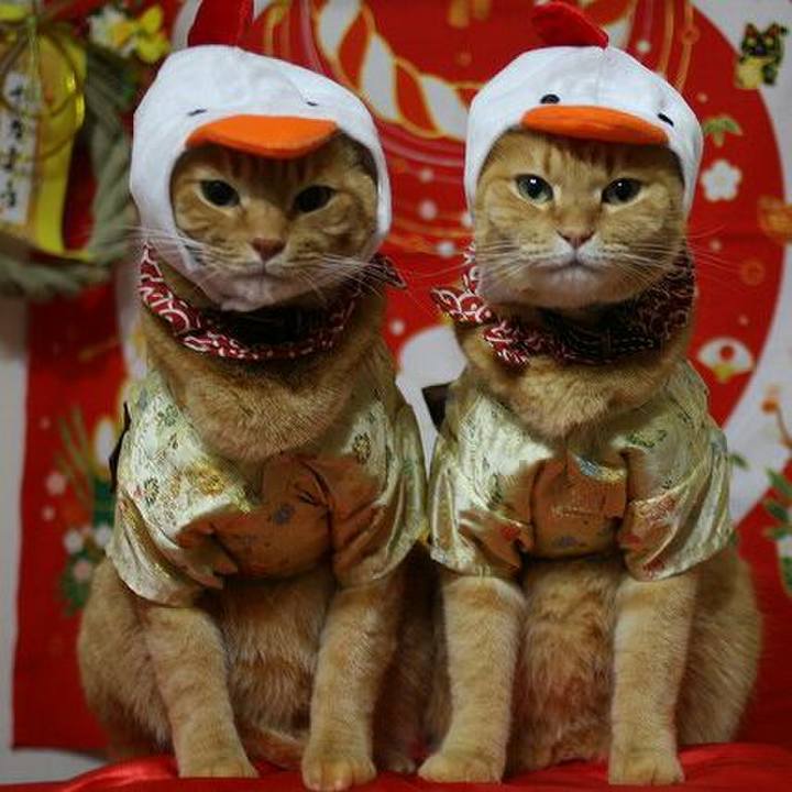 D6672bde d868 4c9d 8508 788ba89d861a