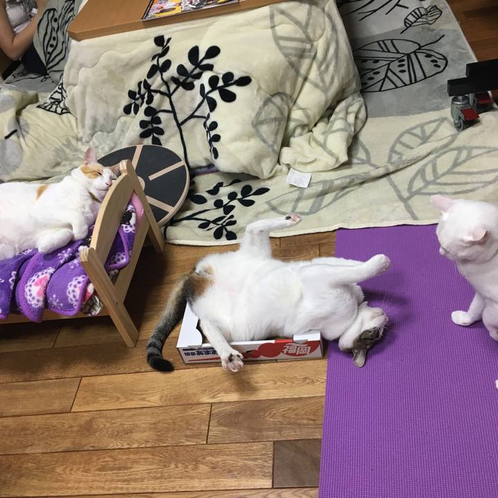 D667541a 4ff4 4815 ae25 99bfeb68d90d